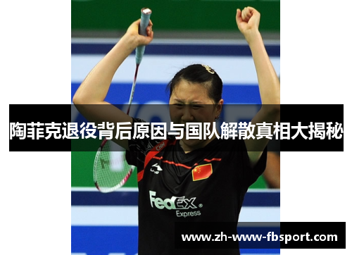 陶菲克退役背后原因与国队解散真相大揭秘 陶菲克退役背后原因与国队解散真相大揭秘