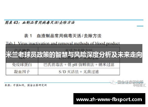 米兰老球员政策的智慧与风险深度分析及未来走向 米兰老球员政策的智慧与风险深度分析及未来走向