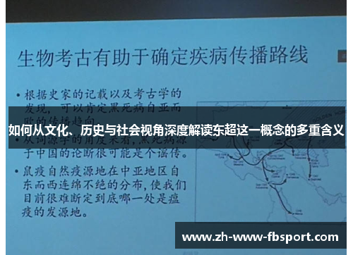 如何从文化、历史与社会视角深度解读东超这一概念的多重含义