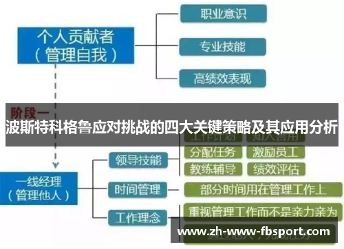 波斯特科格鲁应对挑战的四大关键策略及其应用分析
