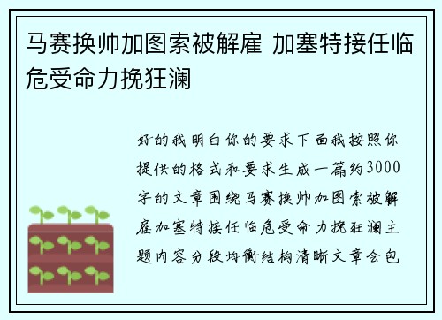 马赛换帅加图索被解雇 加塞特接任临危受命力挽狂澜